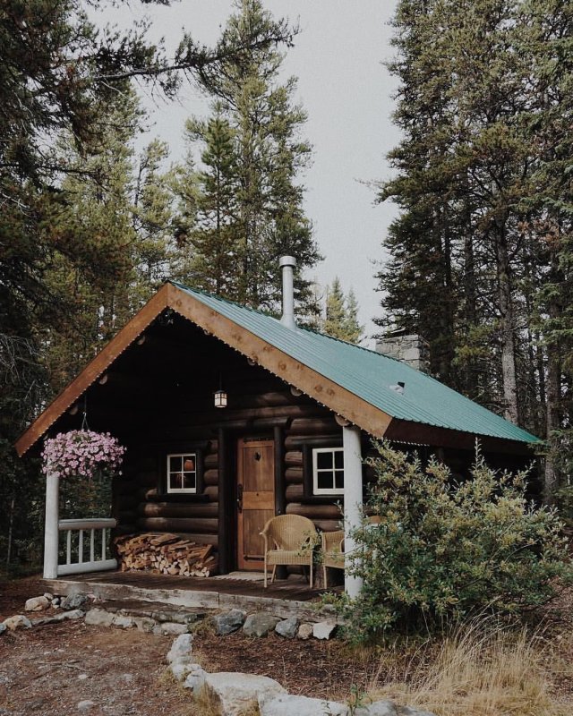 In the Cabin Woods Хижина в лесу Cabin