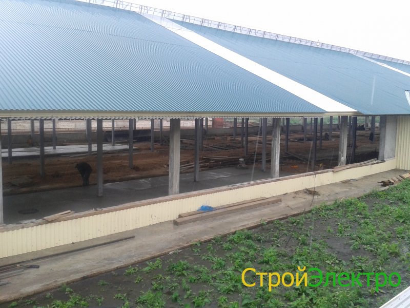 Коровник на 20 голов под ключ
