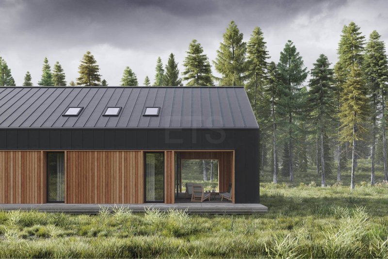 Дом-сарай Barn House