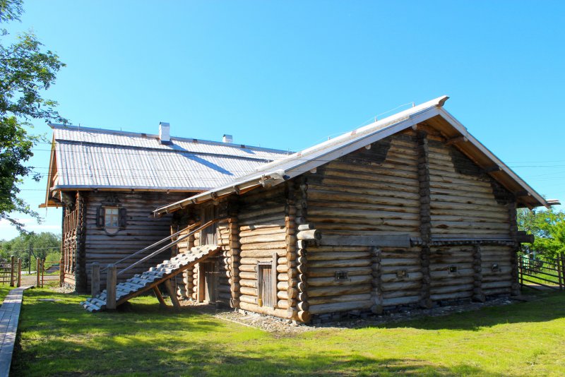 Деревня дерева Новгородской области
