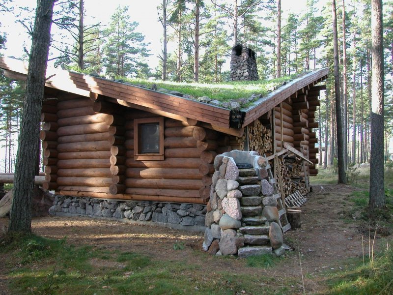 Постройка охотничий домик в лесу