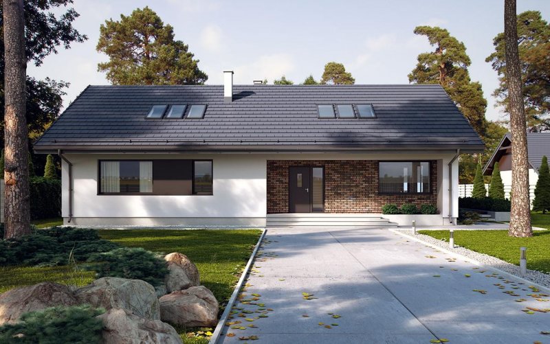 Barn House односкатный