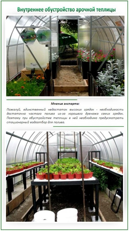 Обустройство теплицы внутри