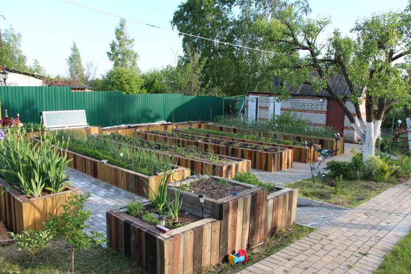 Мини огород