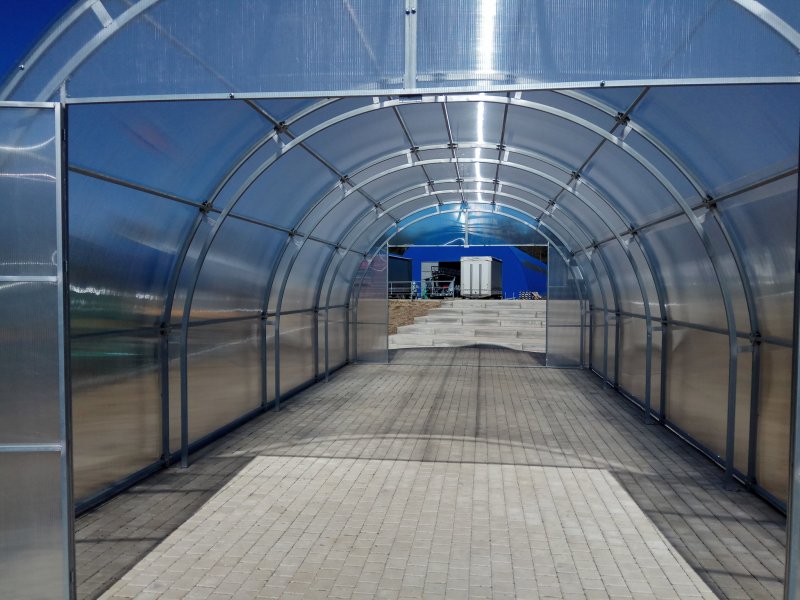 Теплица Агросфера простор 4 на 4 метра