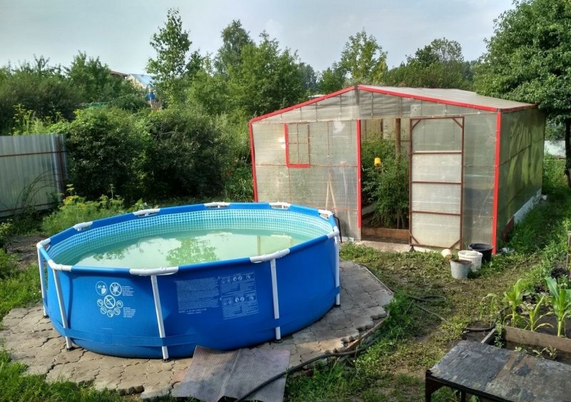 Теплица под бассейн Барнаул