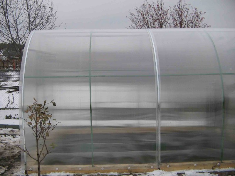 Теплица Greenhouse Израиль