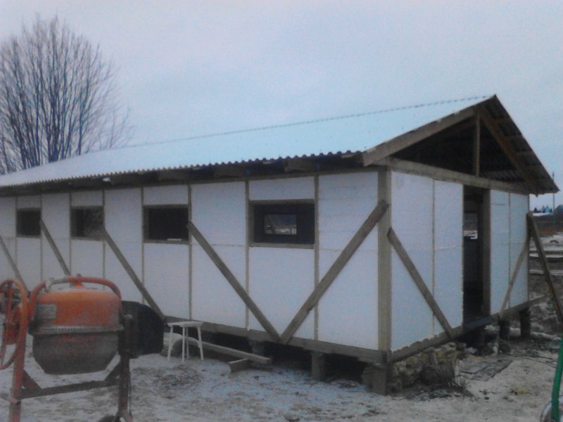 Сарай для коров и свиней