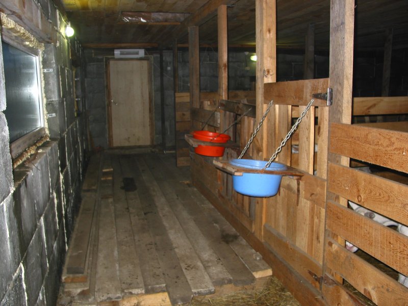 Козлятник на 2 козы