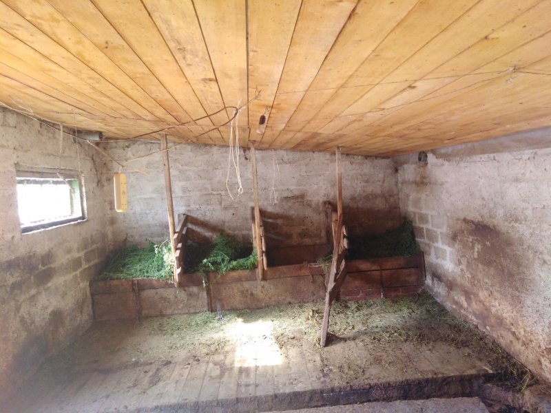 Сарай коровник