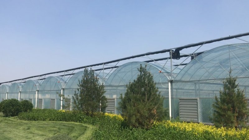Теплицы highgrow