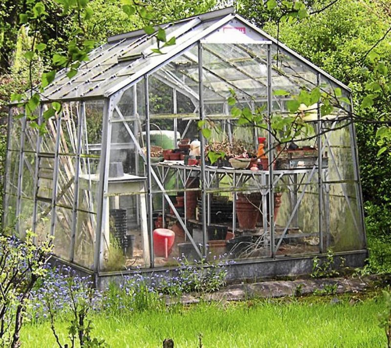 Теплица Greenhouse