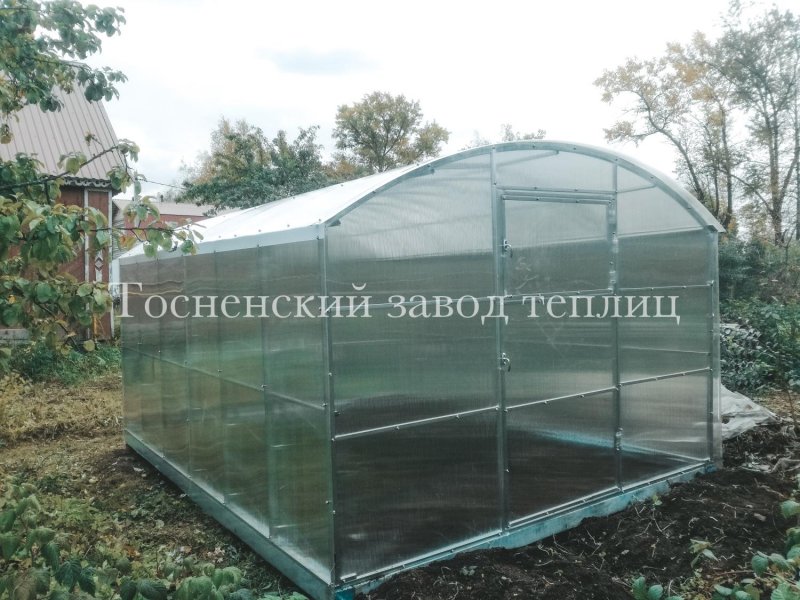 Теплица Кремлевская Прямостенная