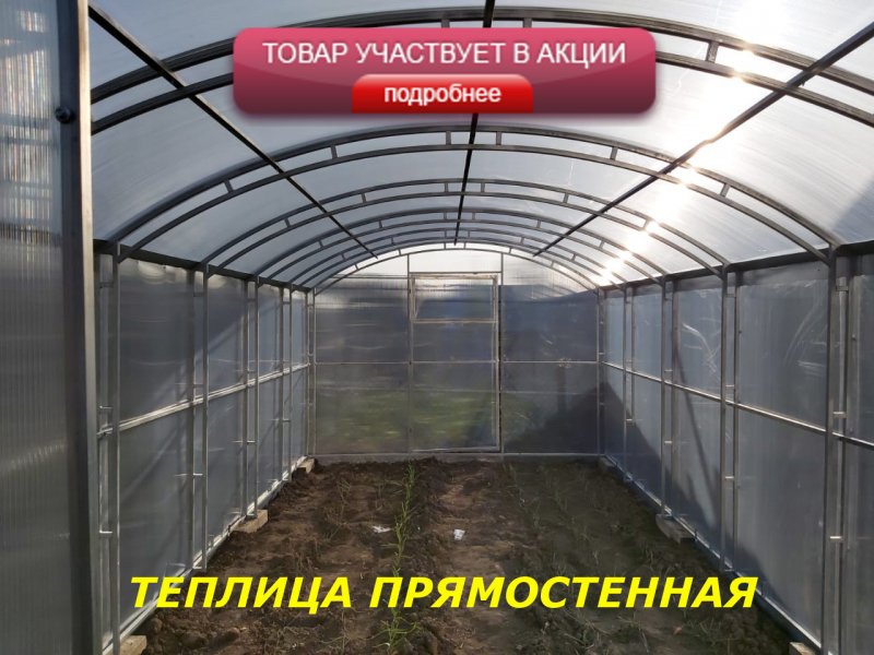 Теплица Кремлевская Прямостенная