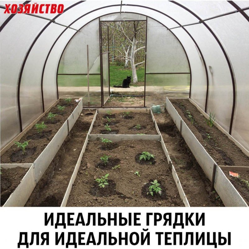 Три грядки в теплице 3х6