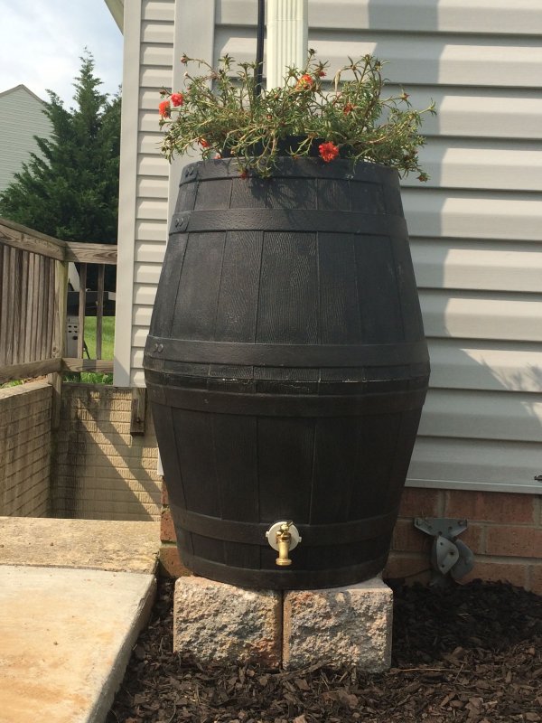 Rain Barrel бочка