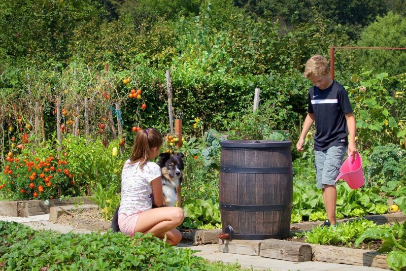 Дождевые бочки Rain Barrel