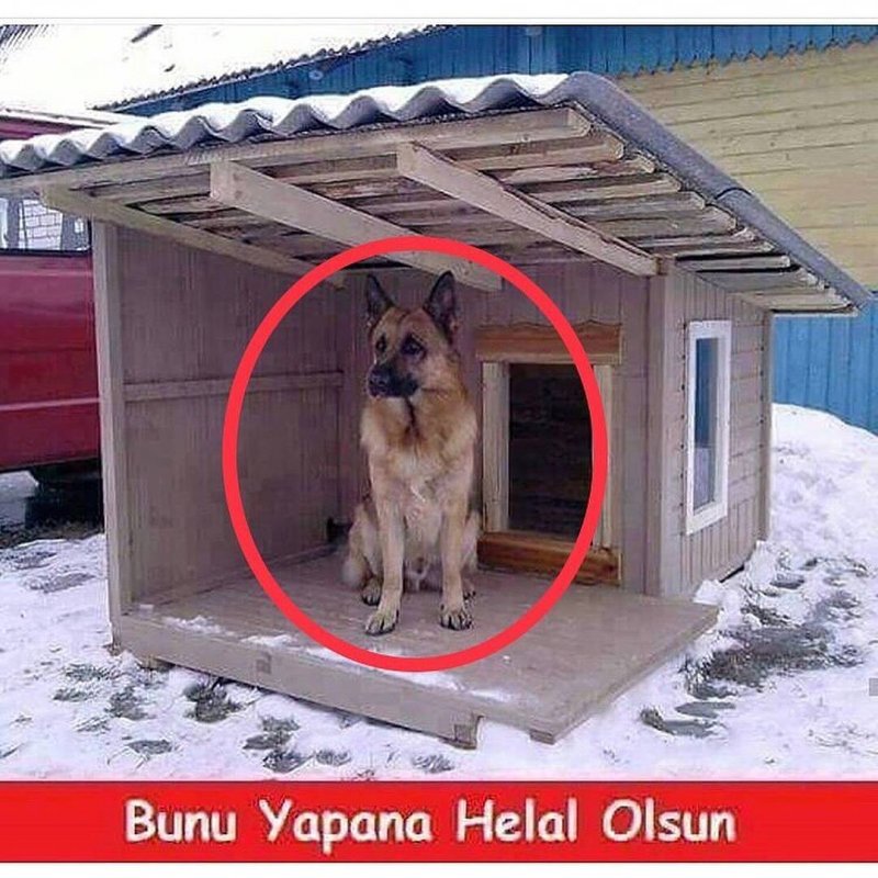 Конура для овчарки