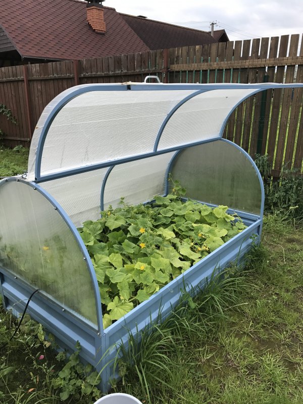 Парник огуречник из поликарбоната