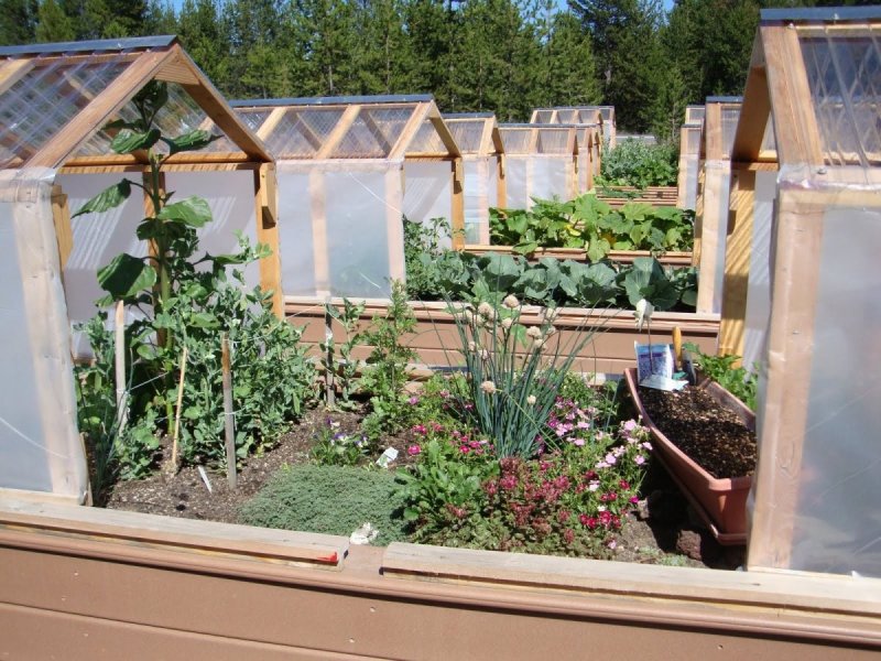 Теплица Greenhouse 1117