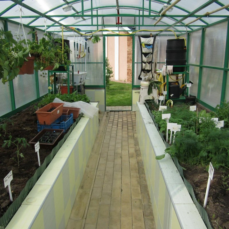 Теплица огуречник из поликарбоната
