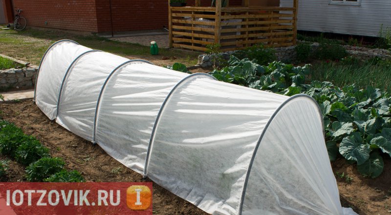 Парник «Подснежник» 4 м