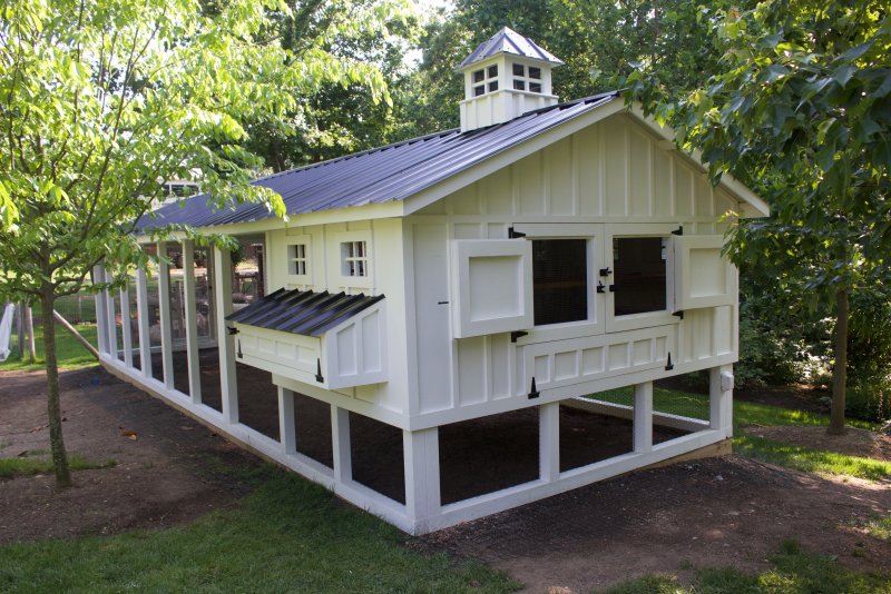 Chicken Coop Курятники