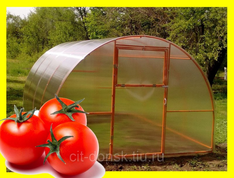 Парник т215 из поликарбоната Green House