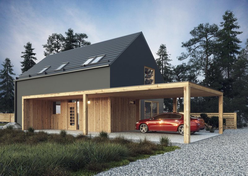 Барн хаусы Barn House с односкатной крышей