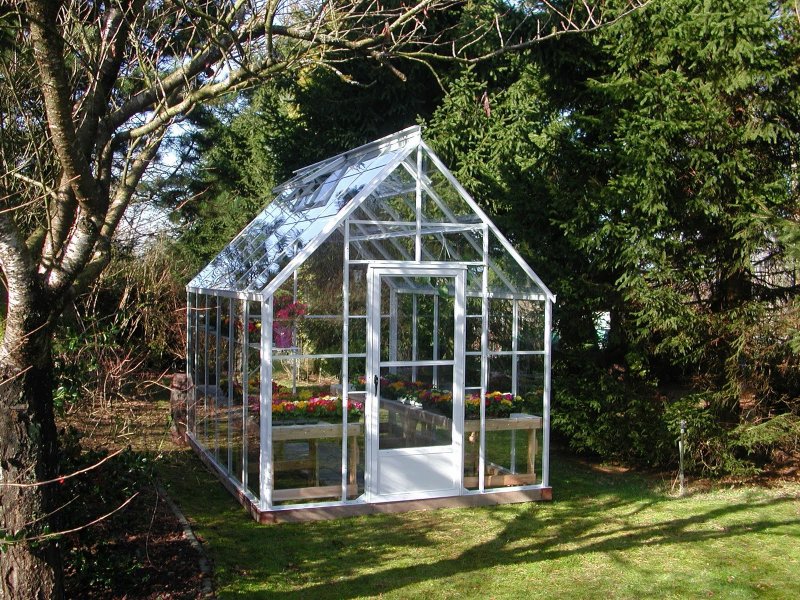Теплица Greenhouse