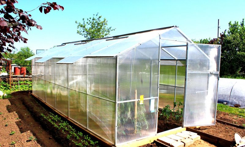 Теплица Greenhouse