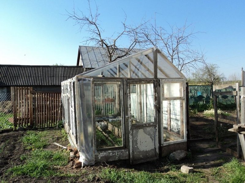 Парник из оконных рам