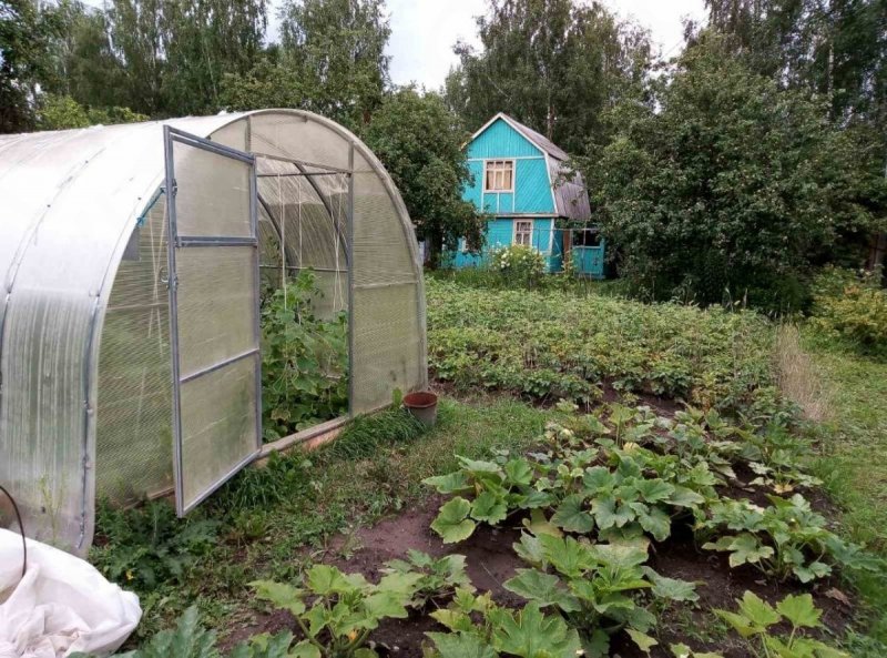 Дом с оранжереей на крыше