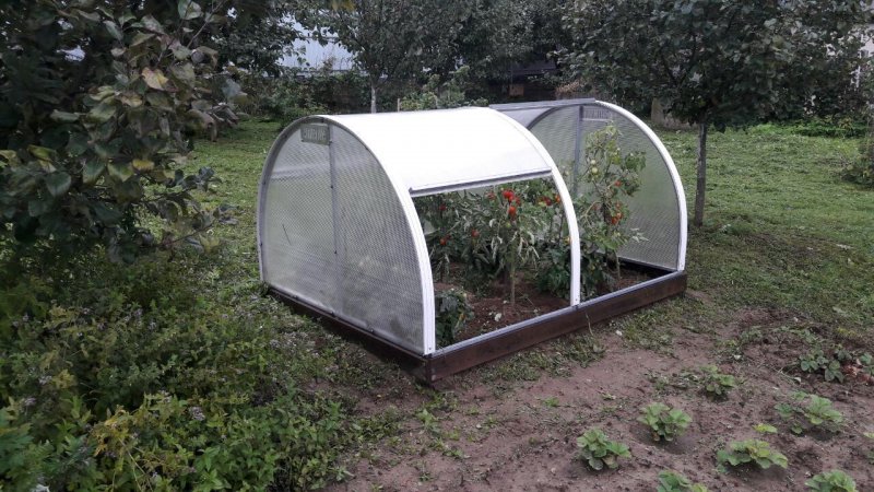 Парник "Новатор-бабочка" 1,0х1,25х4м