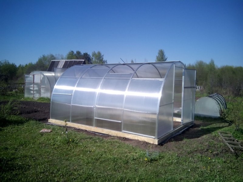 Теплица ТМКН Слава МКС 200х300см