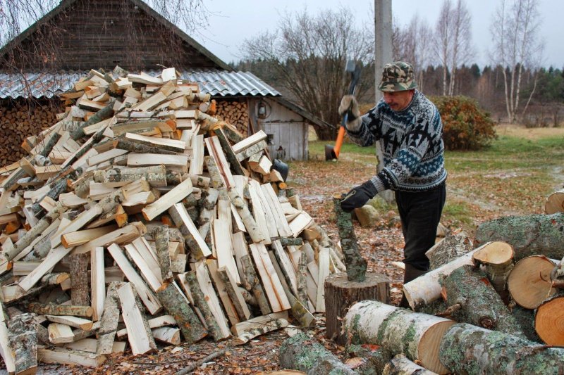 Заготовка дров