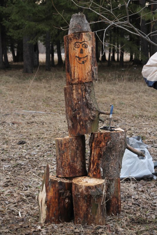 Полено для рубки