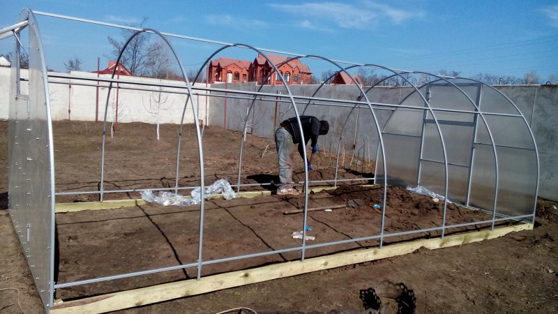 Парник из профиля для гипсокартона своими руками
