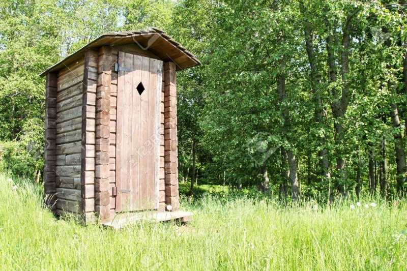 Деревянный туалет в лесу