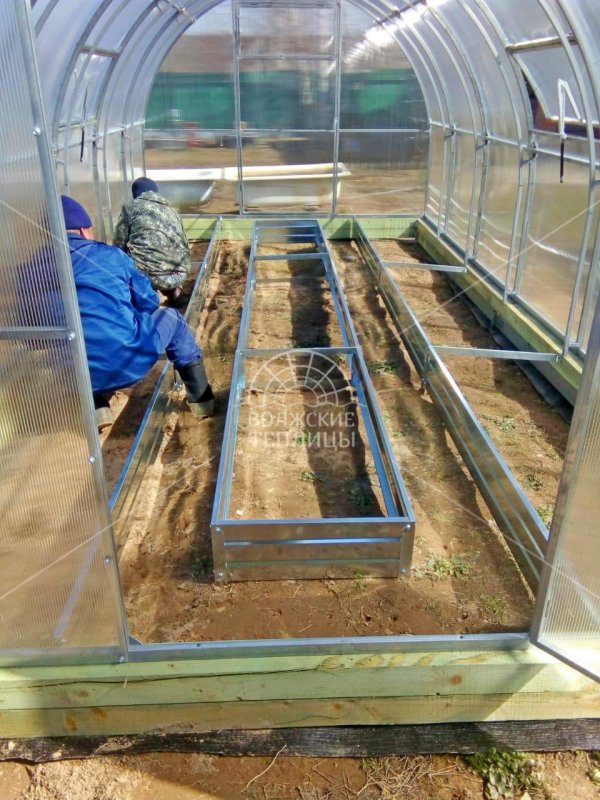 Грядки в парнике 3 на 6