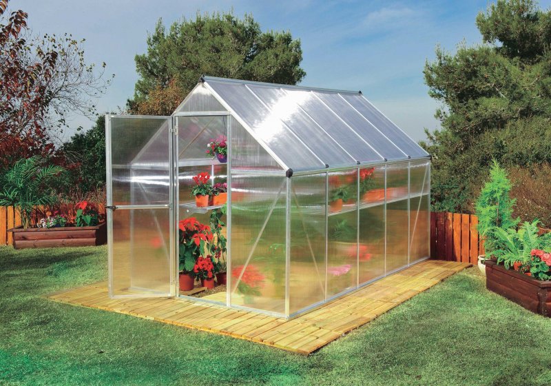 Теплица Greenhouse Израиль