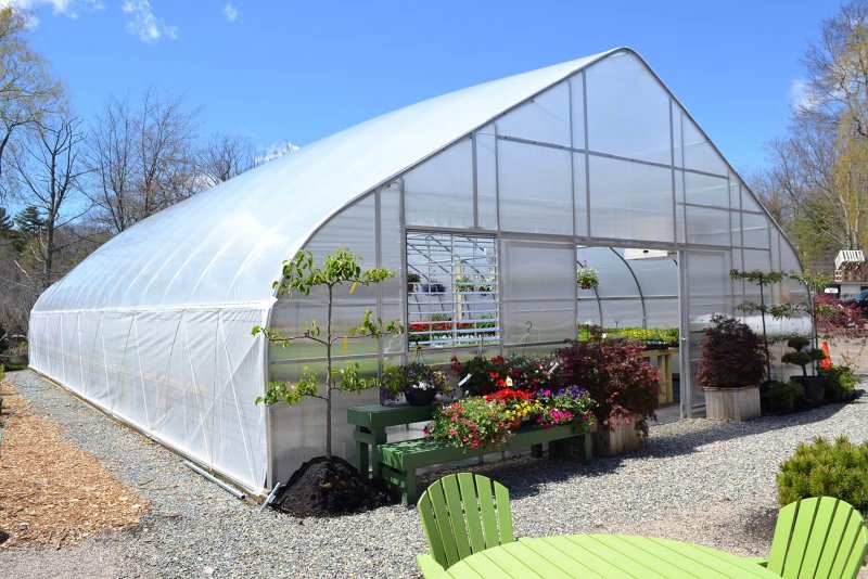 Теплица Greenhouse