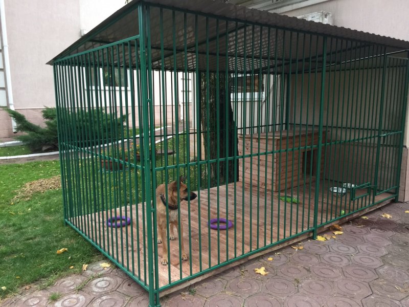 Вольер из ограждения Гранд лайн