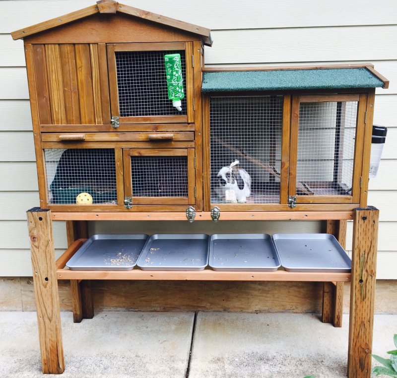 Rabbit Hutch DIY
