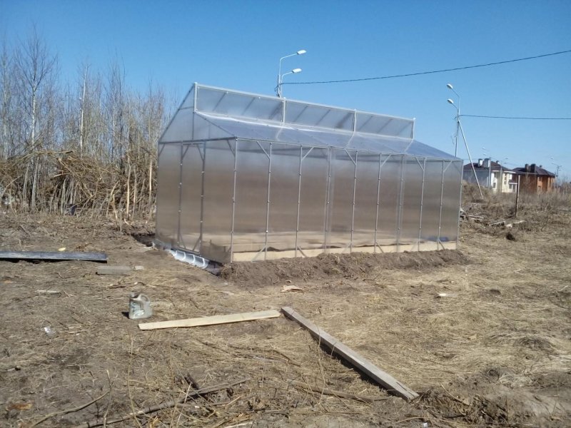 Теплица с травой
