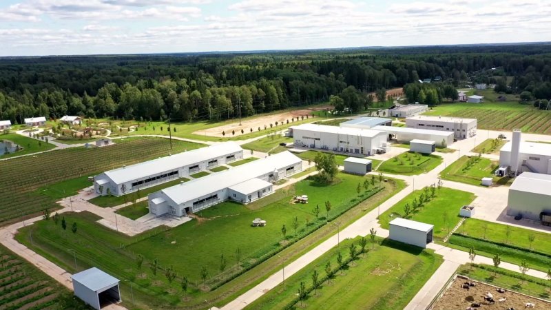 Ферма m2 Шульгино
