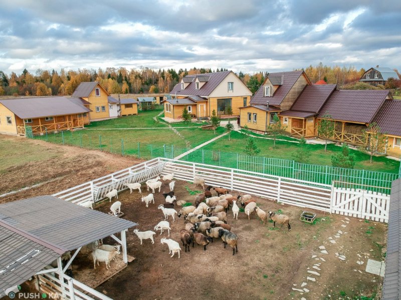 "ЭКОФЕРМА Саврасово"