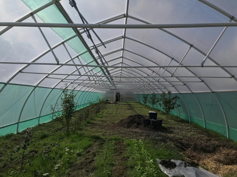 Теплица Greenhouse 1117