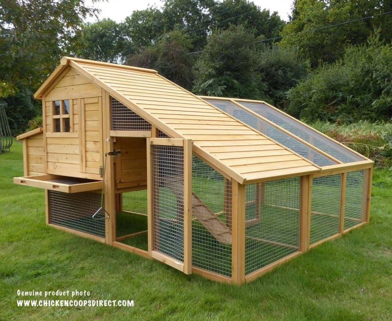 Chicken Coop Курятники