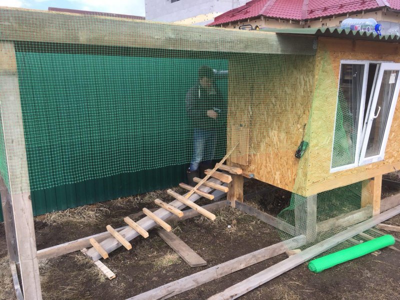 Курятник на сваях